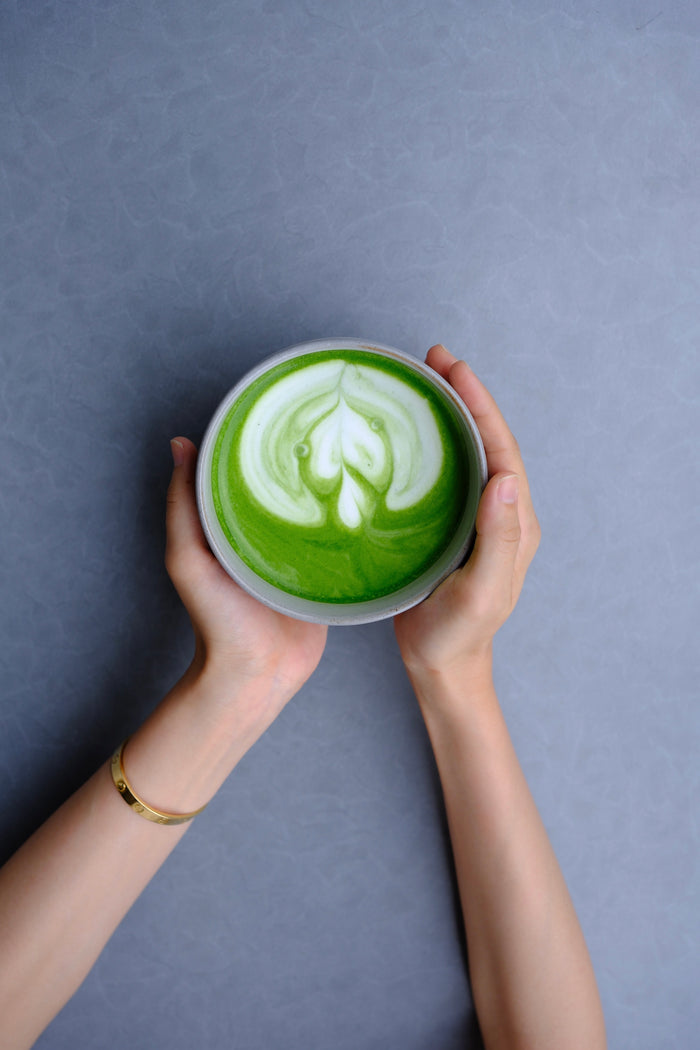 Frisch geerntetes Matcha-Blattgut in einer Hand